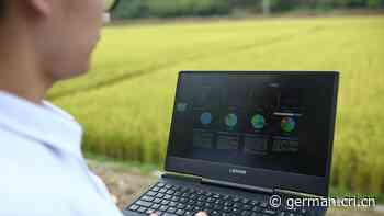 Aufschwung der Dörfer wird mit dem Internet beflügelt - Radio China International