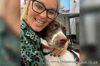 Therapy dog enrolled at Bromley Beacon Academy
