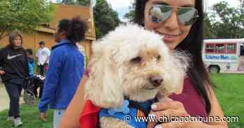 Registration begins for Aurora Pooch Parade - Chicago Tribune