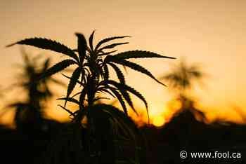 ACB Stock: What's Behind Aurora Cannabis' Recent Surge? - The Motley Fool Canada