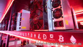 Kryptowährungen: Profi-Investoren gehen von anhaltendem Bärenmarkt aus