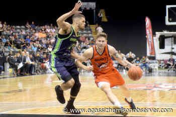 Abbotsford’s Marek Klassen invited to Canada Basketball camp - Agassiz Harrison Observer
