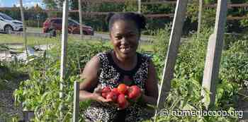 Fredericton residents want community gardens: survey – NB Media Co-op - NB Media Co-op