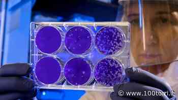 Covid. I contagi tornano in salita a Chieri Carmagnola Trofarello Santena Poirino… - CentoTorri