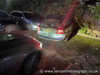 Driver of stolen Jaguar caught by police dog after crashing car- in Preston