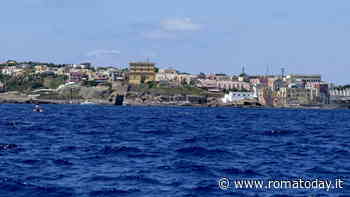 Lorenzo Guerrieri morto a Ventotene: la verità dall'autopsia