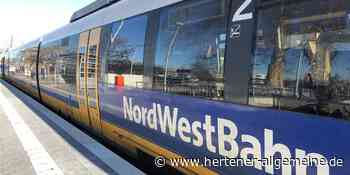 RE14 Dorsten-Essen: 14-Jährige greifen junge Männer an - Hertener Allgemeine