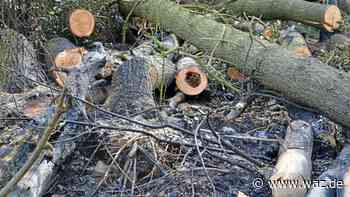 Trockenheit, Hitze: Drei Brände in Essen in sieben Stunden - WAZ News