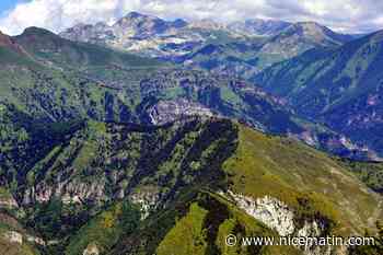 Avec la sécheresse comment préserver la biodiversité du Mercantour?