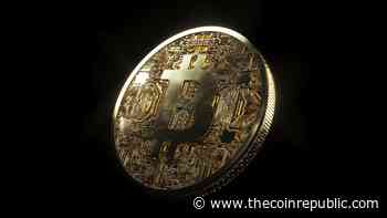 $400M in Liquidations Daily as Bitcoin Dipped - The Coin Republic