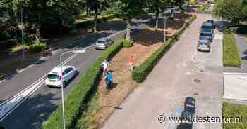 Harderwijkers balen van 'halfslachtig' verkeersplan: 'Vooral heel dom wat de gemeente doet' - De Stentor