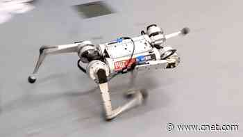 Teaching MIT's Mini Cheetah How to Sprint video     - CNET