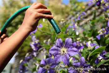 Hosepipe ban comes into force amid hot and dry conditions - Harrow Times