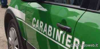 GIOVANI COLPITI DA FULMINE, CARABINIERI FORESTALI: "ERAVAMO A CENTO METRI, SOCCORSI ATTIVATI SUBITO" | Ultime notizie di cronaca Abruzzo - AbruzzoWeb - Abruzzoweb.it