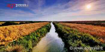 Cento anni ma non li dimostra: la bonifica sfida la crisi climatica - Agrpress