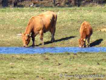 Wasserentnahme aus Oberflächengewässern im Kreis Recklinghausen untersagt - www.lokalkompass.de