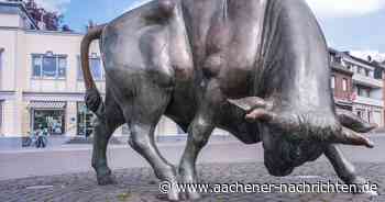 Goldenes Jubiläum: Brander Bürgerverein hat allen Grund zum Feiern