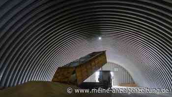 Ukraine: Millionen Tonnen Getreide über Donau verschifft