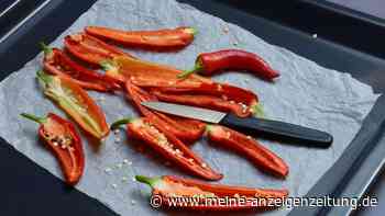 Chilis trocknen: An der Luft und im Ofen haltbar machen