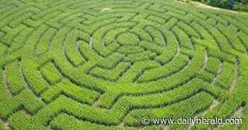 These pumpkin patches offer more than just gourds