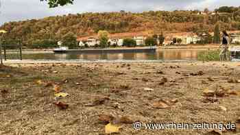 In Koblenz färben sich bereits Bäume: Es wird schon Herbst – Ist das schlimm? - Rhein-Zeitung