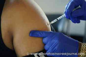 Moderna sues Pfizer over patents behind COVID-19 vaccine - Ashcroft Cache Creek Journal