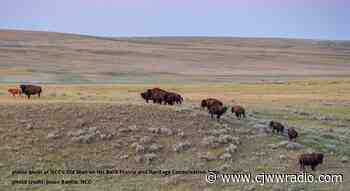 NCC protection of grasslands extended in Saskatchewan - CJWW