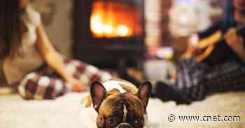 Furnace Buying Guide: Everything You Need to Know to Find the Best One for Your Home     - CNET