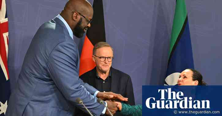 How would an Indigenous voice work and what are people saying about it?