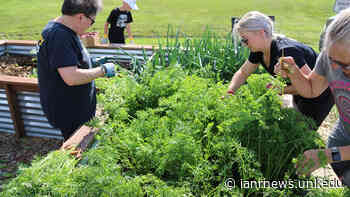 Master Gardener tips for the Panhandle – Week of August 29, 2022 - Nebraska Today