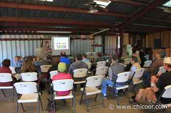 Master Gardener fall workshop series begins | The Real Dirt - Chico Enterprise-Record
