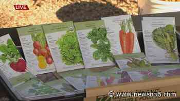 'The Gardener Guy' Shares Tips On Fall Planting - News On 6