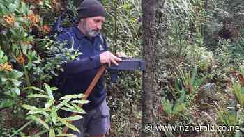 From pruning to possum trapping: Taranaki gardener helps native species - Stratford Press