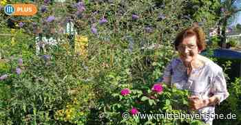 Kraftquell mitten im Zentrum von Abensberg - Mittelbayerische Zeitung