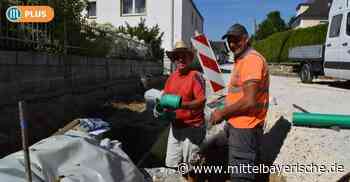 Das sind die heißesten Jobs in Abensberg - Mittelbayerische Zeitung