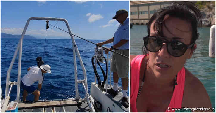 “Shock termico nei mari, ecosistemi a rischio”: il report dei ricercatori della ‘smart bay’ di Lerici. I miticoltori: “Perso 50% della nostra produzione”