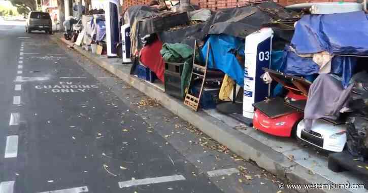 2021 Video Shows LA Electric Vehicle Chargers Rendered Basically Useless Because They're Covered in Trash