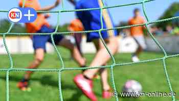 Sportvereinen in Schleswig-Holstein gehen die Ehrenamtler aus