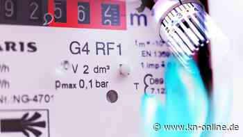 SPD-Papier sieht Direktzahlungen, Schutzklauseln und 49-Euro-Ticket vor