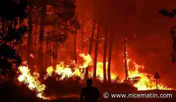 Bordeaux: un jeune pompier volontaire écroué pour une trentaine d'incendies