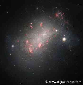 Hubble revisits a funky irregular dwarf galaxy