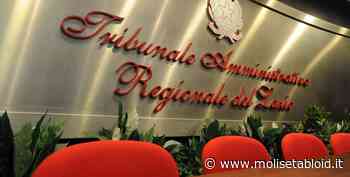 Serie C. Campobasso sulle spine: il 2 agosto la pronuncia del Tar, il 5 agosto i calendari. Solidarietà delle altre tifoserie - Molise Tabloid