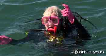 Volunteer divers clear trash from Kingston, Ont., water
