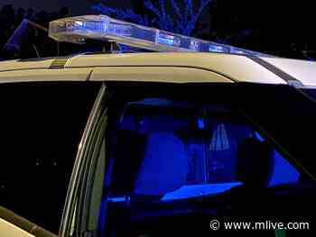 Police find child’s body in a ditch, man arrested - MLive.com