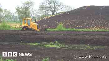 Climate change: England's gardeners set for peat compost ban