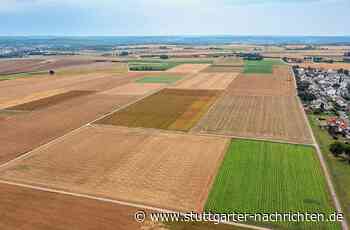Sindelfingen braucht Wohnraum: Landwirte und Anwohner sagen „Nein“ zu möglichem Wohngebiet - Stuttgarter Nachrichten