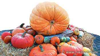 Vortrag über Kürbisse beim Landfrauenverein Rastede - NWZonline