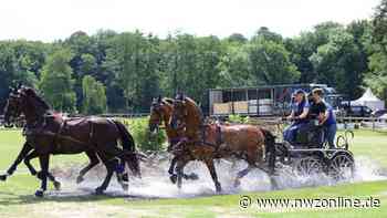 73. Oldenburger Landesturnier in Rastede - NWZonline