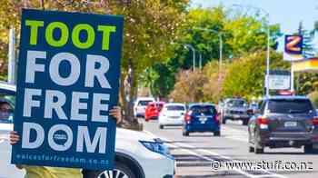 Nelson council candidates' links to disinformation and conspiracy - Stuff