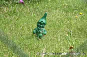 "MM"-Sommerquiz: Spannende Fragen rund um den Kleingarten - Mannheim - Nachrichten und Informationen - Mannheimer Morgen
